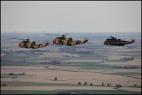 /album/baf-seaking-mk481/img-2614-kopie-lowres-jpg/